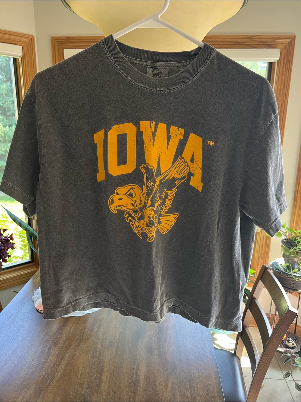 Iowa Hawkeye Cropped T- shirt Comfort Colors